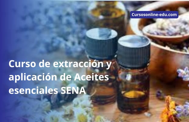 Curso de aceites esenciales