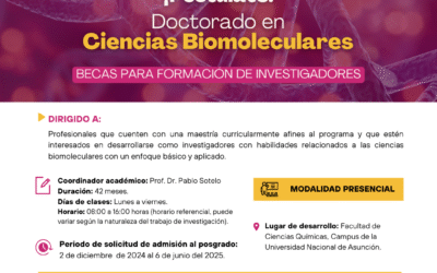 Becas para posgrados en tecnología y ciencias aplicadas